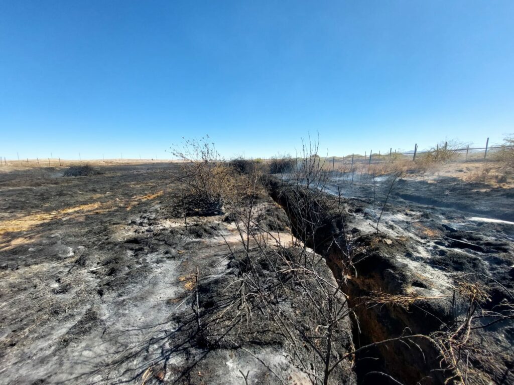 Trabajos en la zona incendiada. Créditos: - Centro de Biodiversidad y Conservación El Loa, SAG, Conaf, y el Departamento de medio ambiente de la municipalidad de Calama.