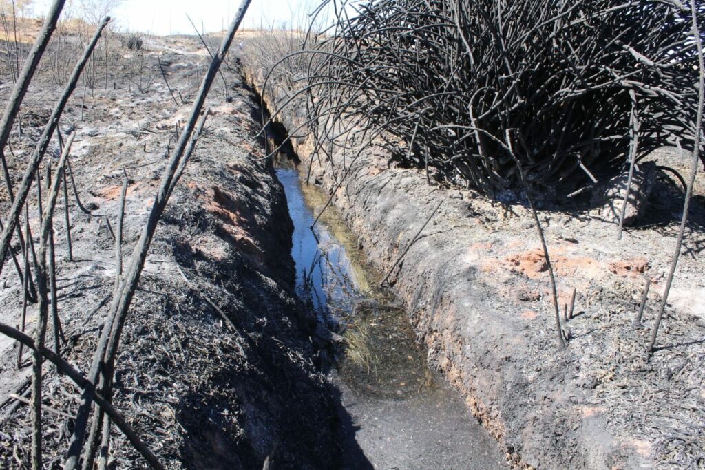 Trabajos en la zona incendiada. Créditos: - Centro de Biodiversidad y Conservación El Loa, SAG, Conaf, y el Departamento de medio ambiente de la municipalidad de Calama.