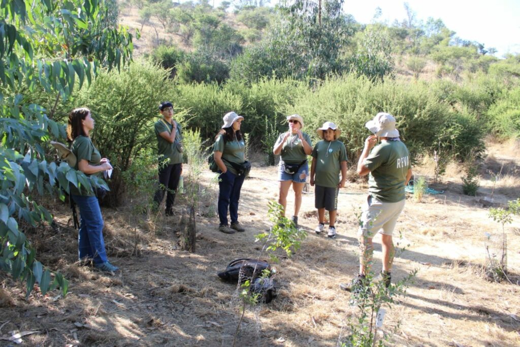 Voluntarios reforestando el Parque La Reserva. Créditos: REVA