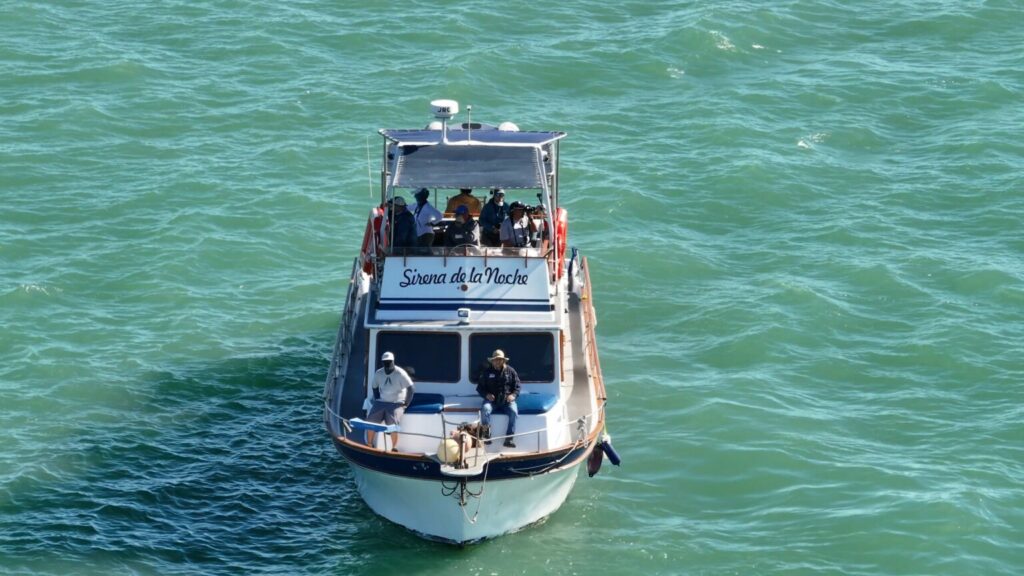 Sirena de la Noche, una de las embarcaciones de monitoreo de la Operación Esperanza 2024, para la vaquita marina. Foto: Fabián Rodríguez