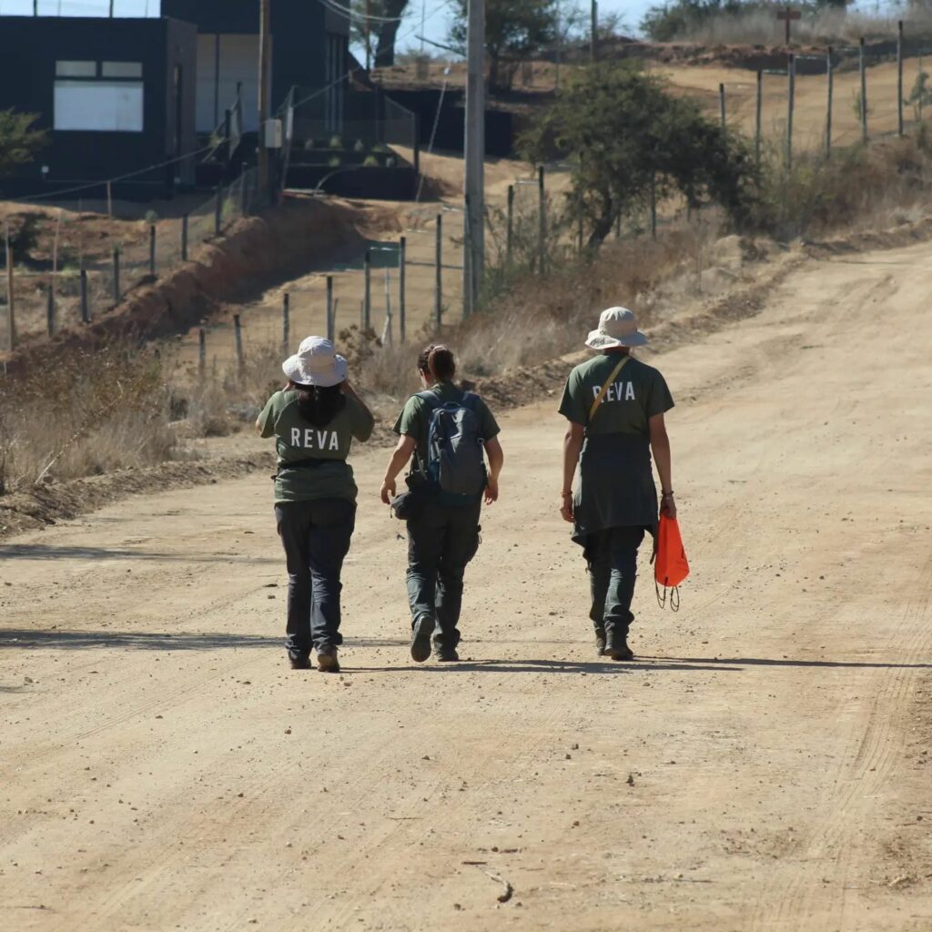 Generalmente, los voluntarios se reúnen los fines de semana para trabajar. Créditos: REVA