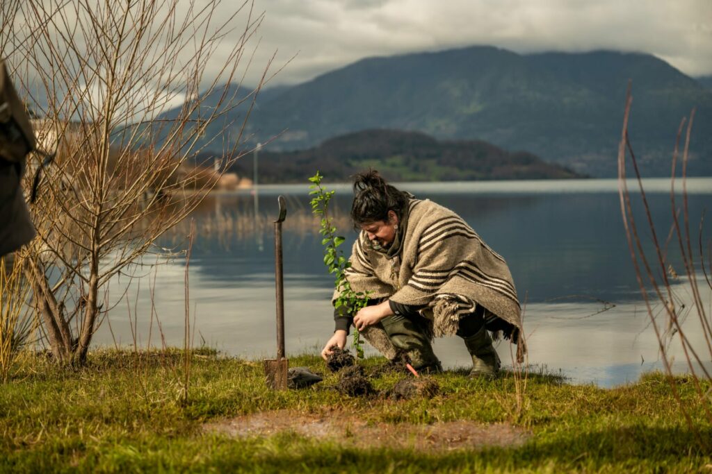 Activación territorial “Limpieza y reforestación” en Panguipulli. Créditos Felipe Zanotti