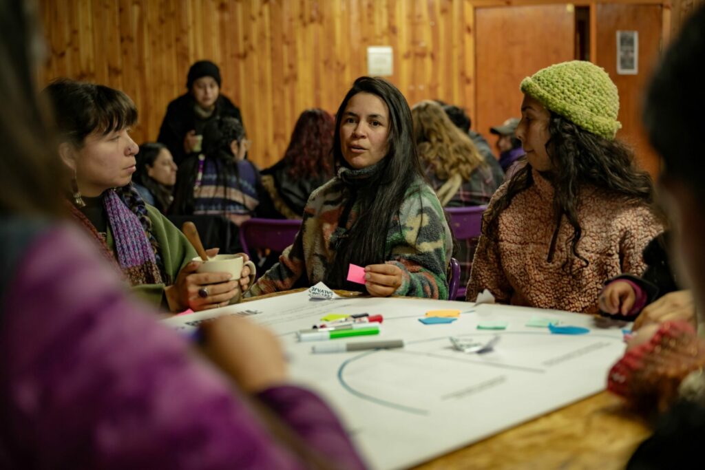 Activación territorial “Peña por la cuenca” en Panguipulli. Créditos Felipe Zanotti