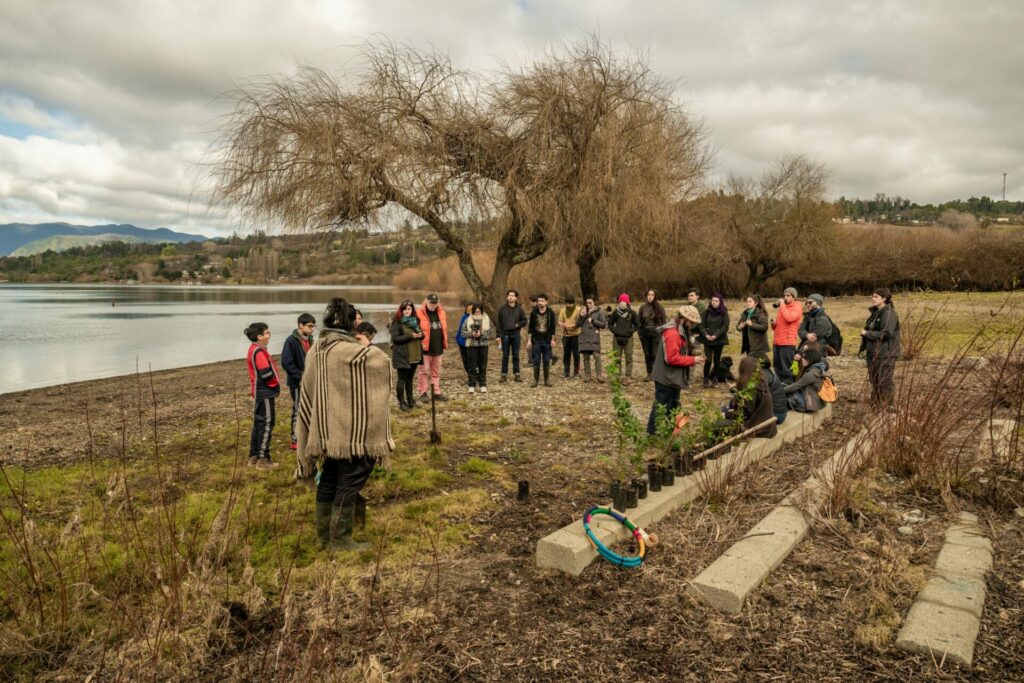 Activación territorial “Limpieza y reforestación” en Panguipulli. Créditos Felipe Zanotti