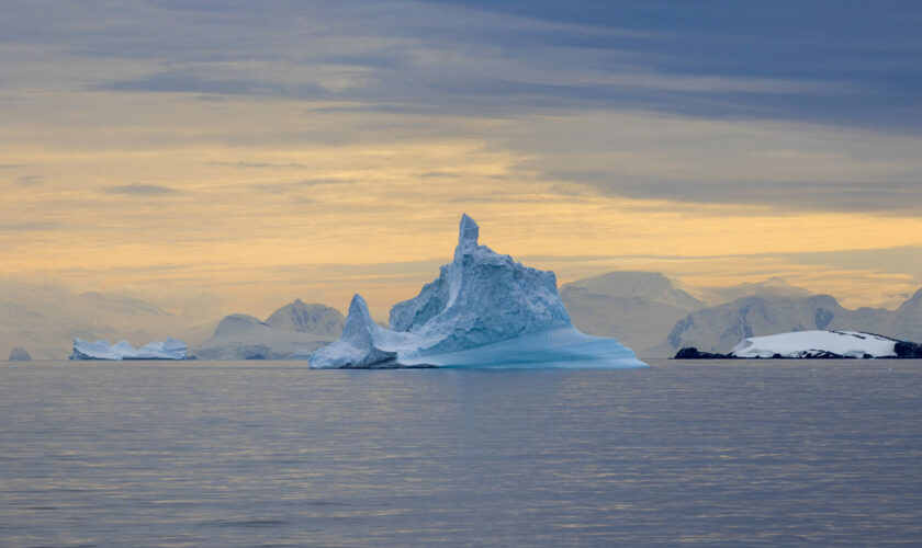 Proyectos chilenos que miden impacto de la huella humana en el continente blanco protagonizan encuentro mundial de ciencia antártica