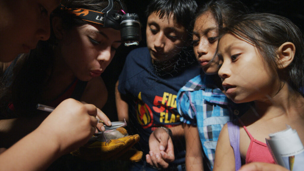 Actividades con niños y niñas de la comunidad de Ek’Balam. Créditos Alejandro Ganesh Marín Méndez