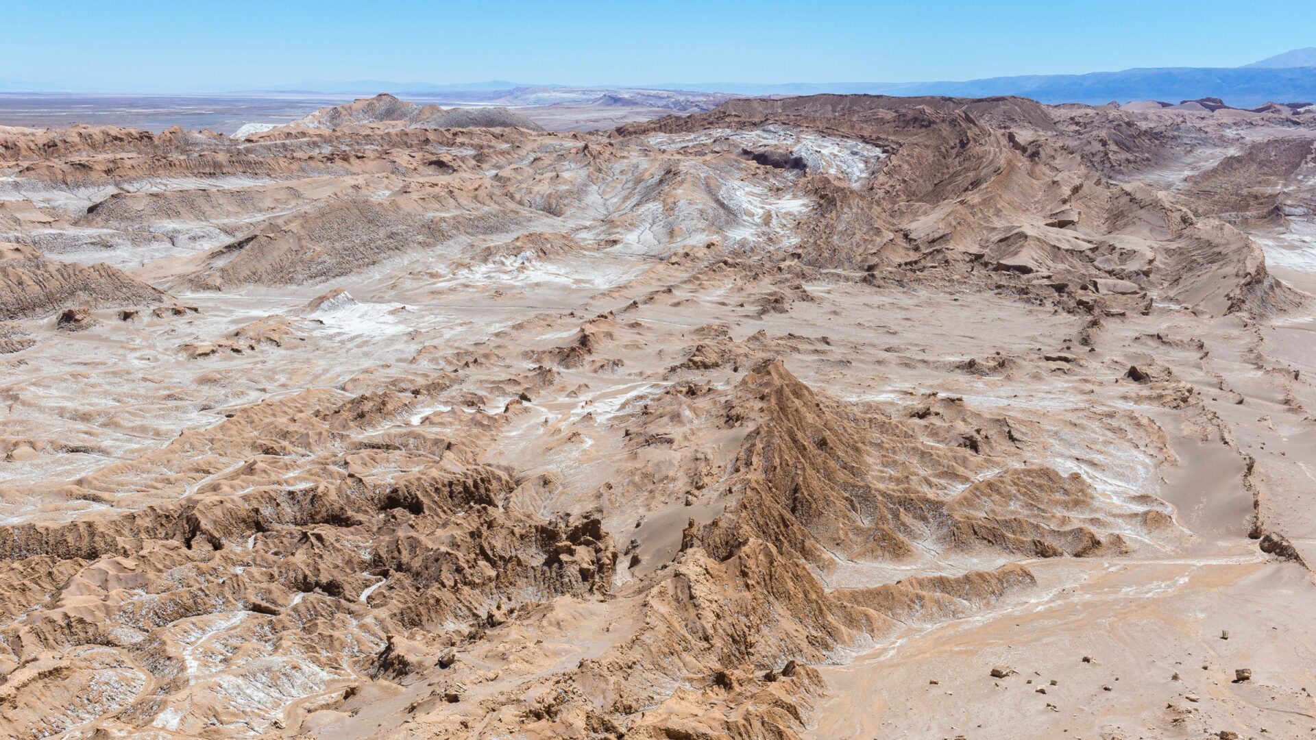 Explorando la Cordillera de la Sal: 20 millones de años de lo que fue el fondo de un lago en el desierto de Atacama