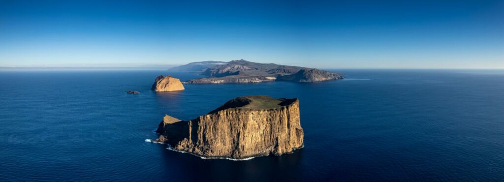 Isla Guadalupe. ©GECI / J.A. Soriano.