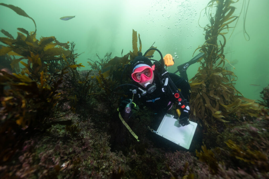 Esmeralda Albañez durante un monitoreo biológico en Isla Natividad. Foto: Jennifer Adler