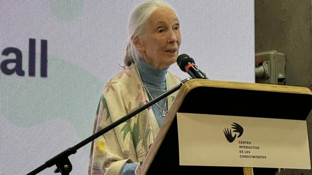 Jane Goodall. Créditos: Martín del Río.