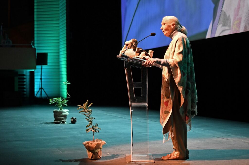 Charla de Jane Goodall en CorpArtes. Créditos Jane Goodall Institute en Chile