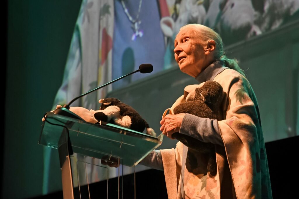 Charla de Jane Goodall en CorpArtes. Créditos Jane Goodall Institute en Chile