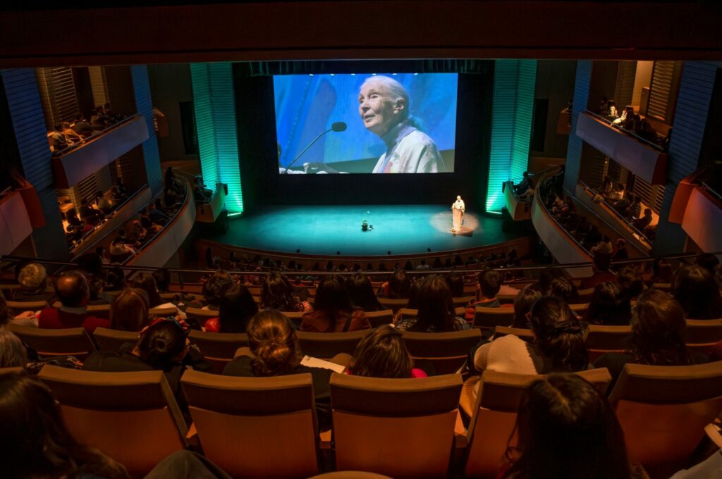 Charla de Jane Goodall en CorpArtes. Créditos Jane Goodall Institute en Chile