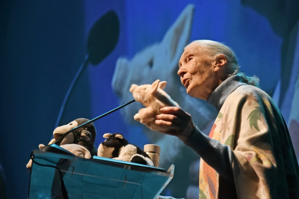 Charla de Jane Goodall en CorpArtes. Créditos Jane Goodall Institute en Chile