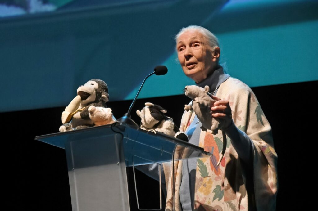 Charla de Jane Goodall en CorpArtes. Créditos Jane Goodall Institute en Chile