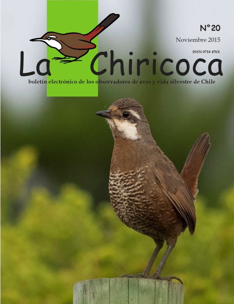 La Chiricoca Edición n°20 (2015). Créditos La Chiricoca