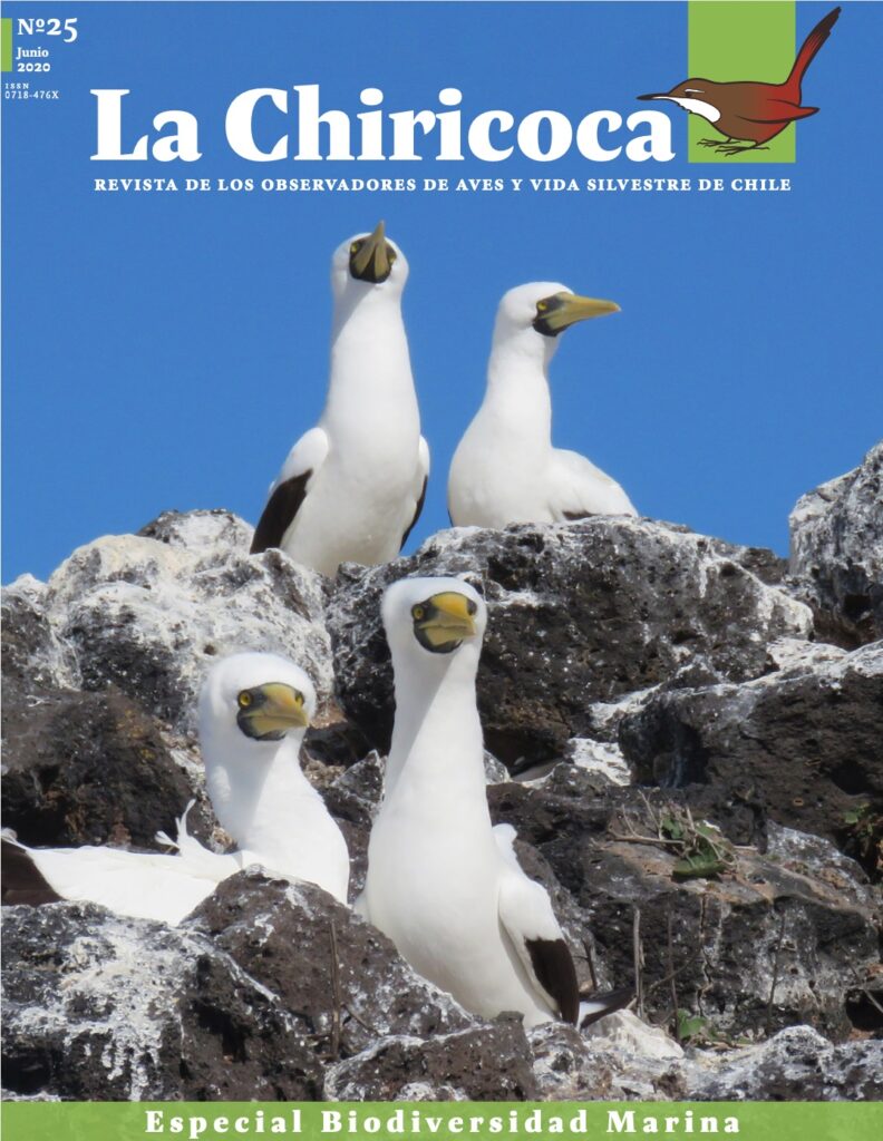 La Chiricoca Edición n°20 (2020). Créditos La Chiricoca