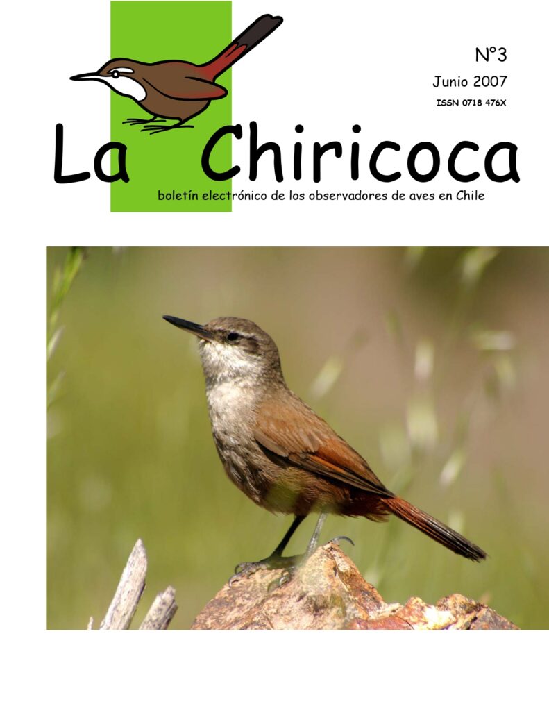 Chiricoca en portada de La Chiricoca Edición n°3. Créditos La Chiricoca