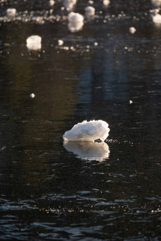 La cantidad y duración del hielo varían de un año a otro dependiendo de las condiciones climáticas de cada temporada invernal. Foto: Paulina Díaz