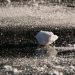 El suelo congelado de las orillas de la Laguna Escondida de Curarrehue . Foto: Paulina Díaz