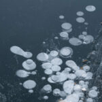 Las burbujas de aire en el hielo son de gran importancia científica, ya que pueden contener aire antiguo que proporcione información sobre la composición atmosférica del pasado. Foto: Paulina Díaz