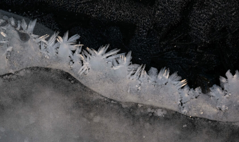 La belleza congelada de la Laguna Escondida de Curarrehue, a través de la fotografía