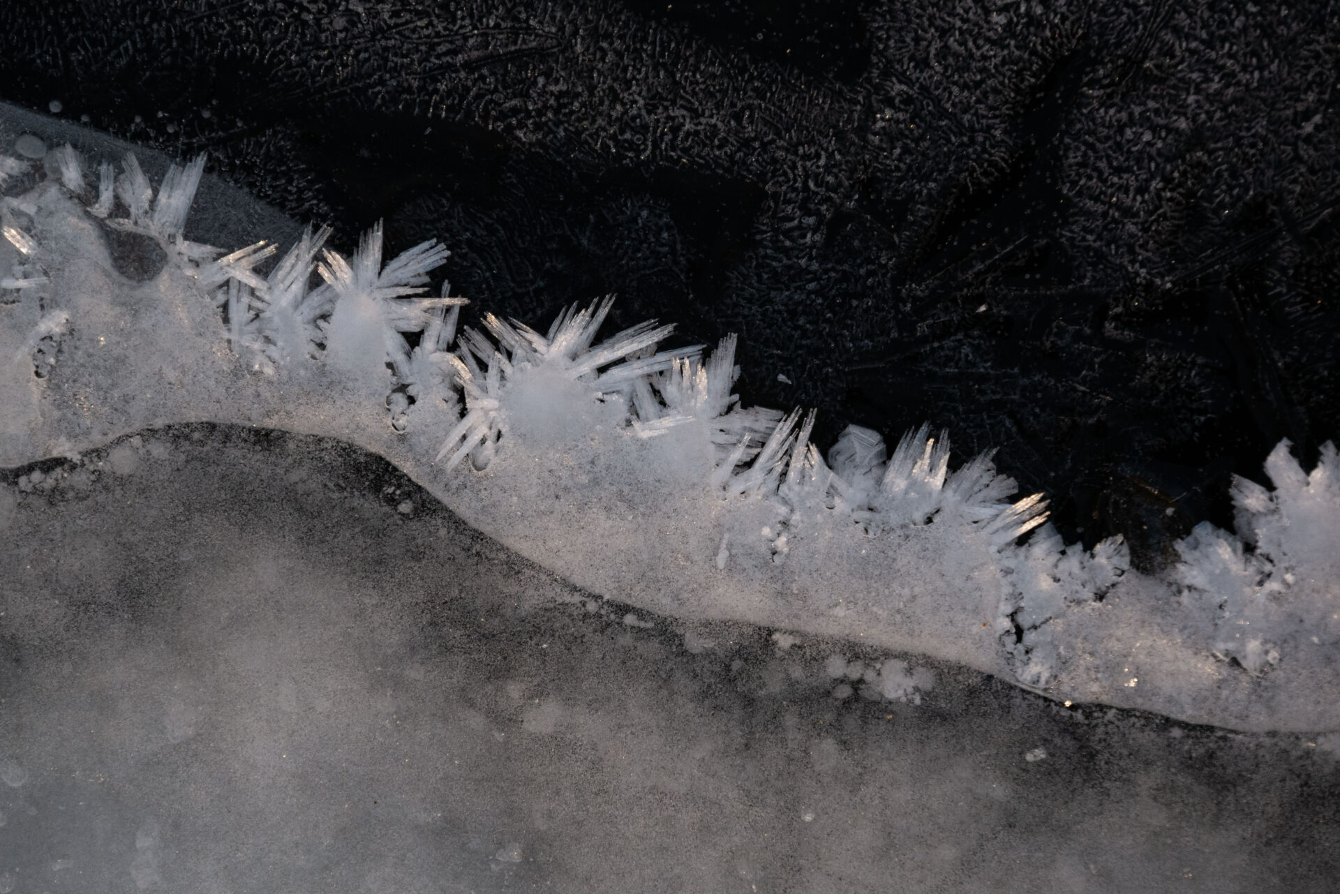 La belleza congelada de la Laguna Escondida de Curarrehue, a través de la fotografía