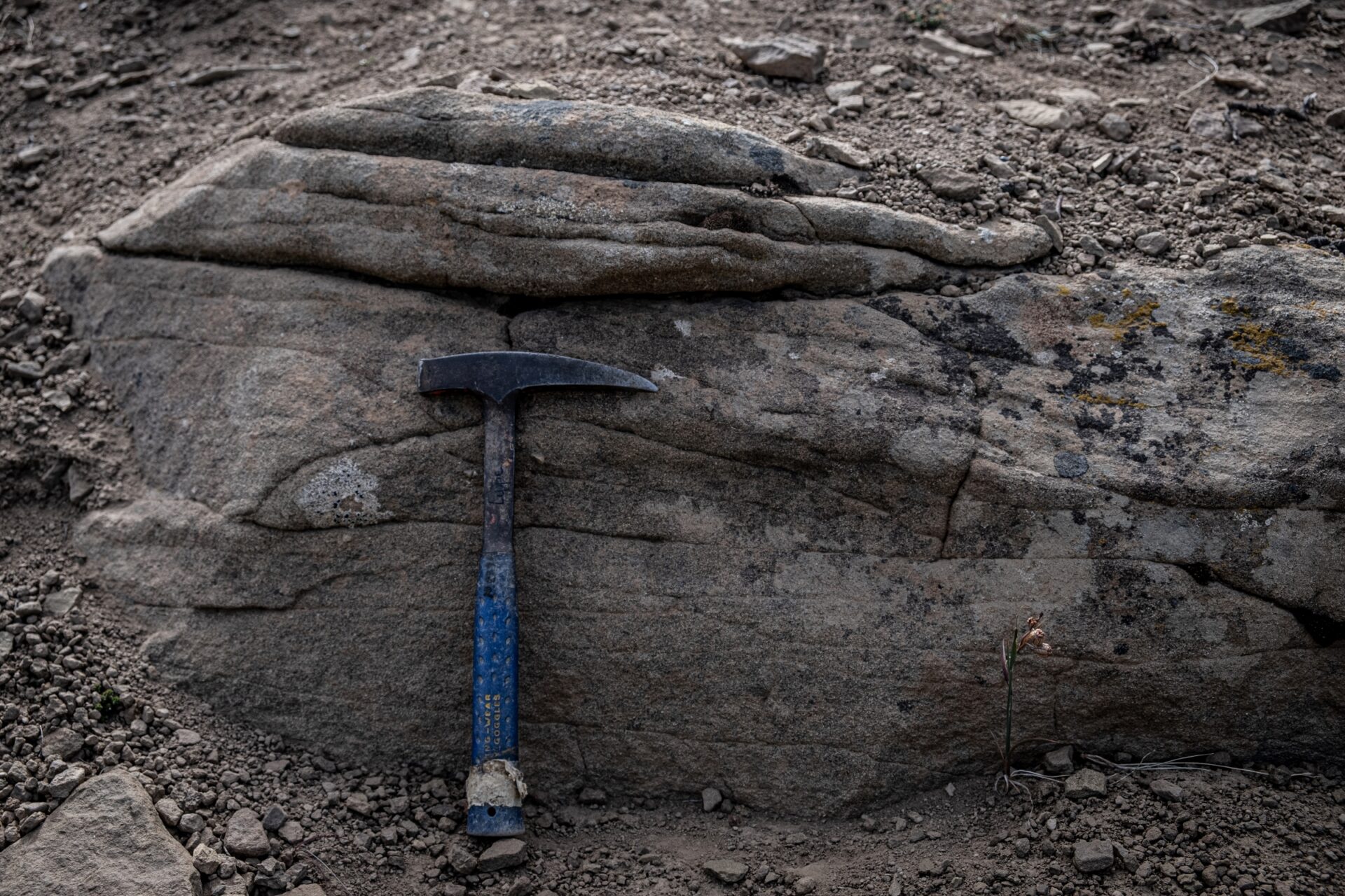 Encuentran vestigios del impacto del meteorito relacionado con la extinción de los dinosaurios en la Patagonia chilena