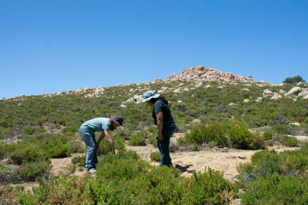 Monitoreo en Altos de Cantillana. Reserva Natural Altos de Cantillana