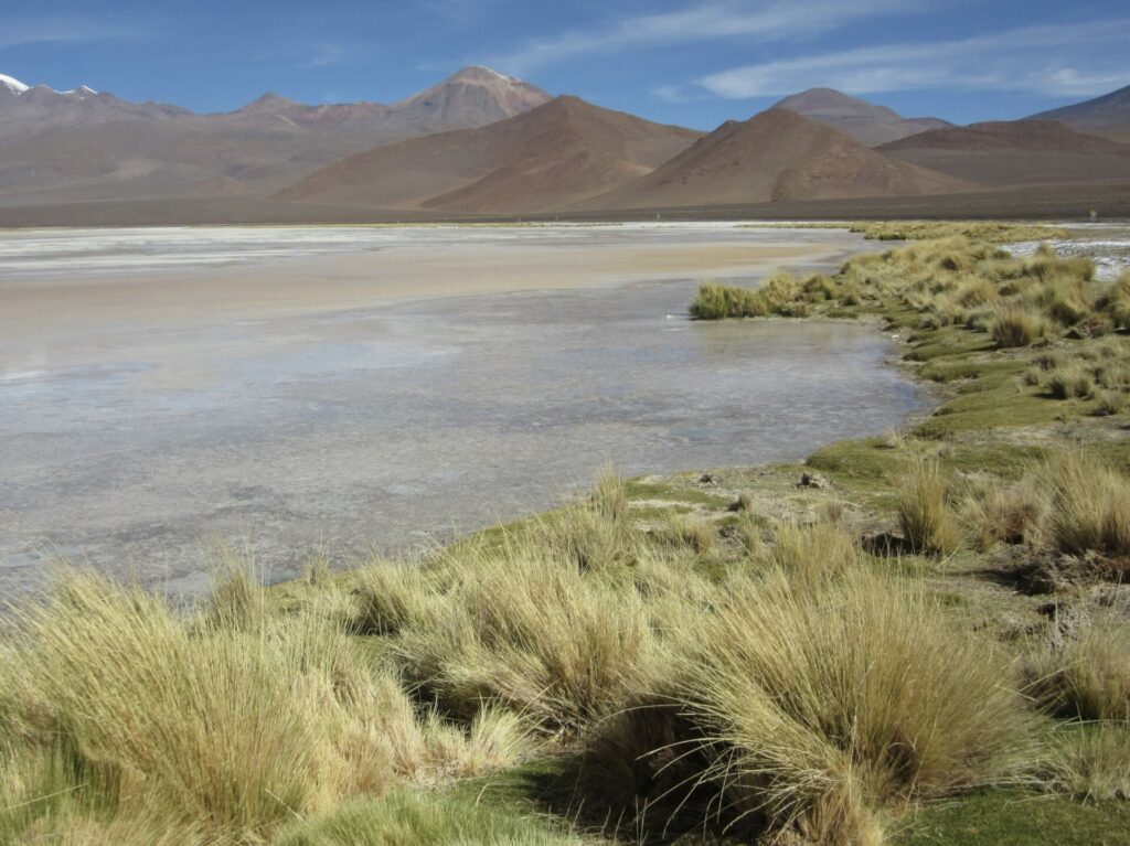 Salar de Ollagüe. Foto: Cristian Jara, Chile Sustentable