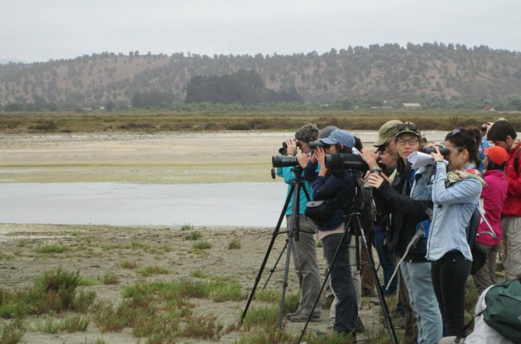 Voluntarios en las Salinas de Pullally. Créditos Ignacio Azócar