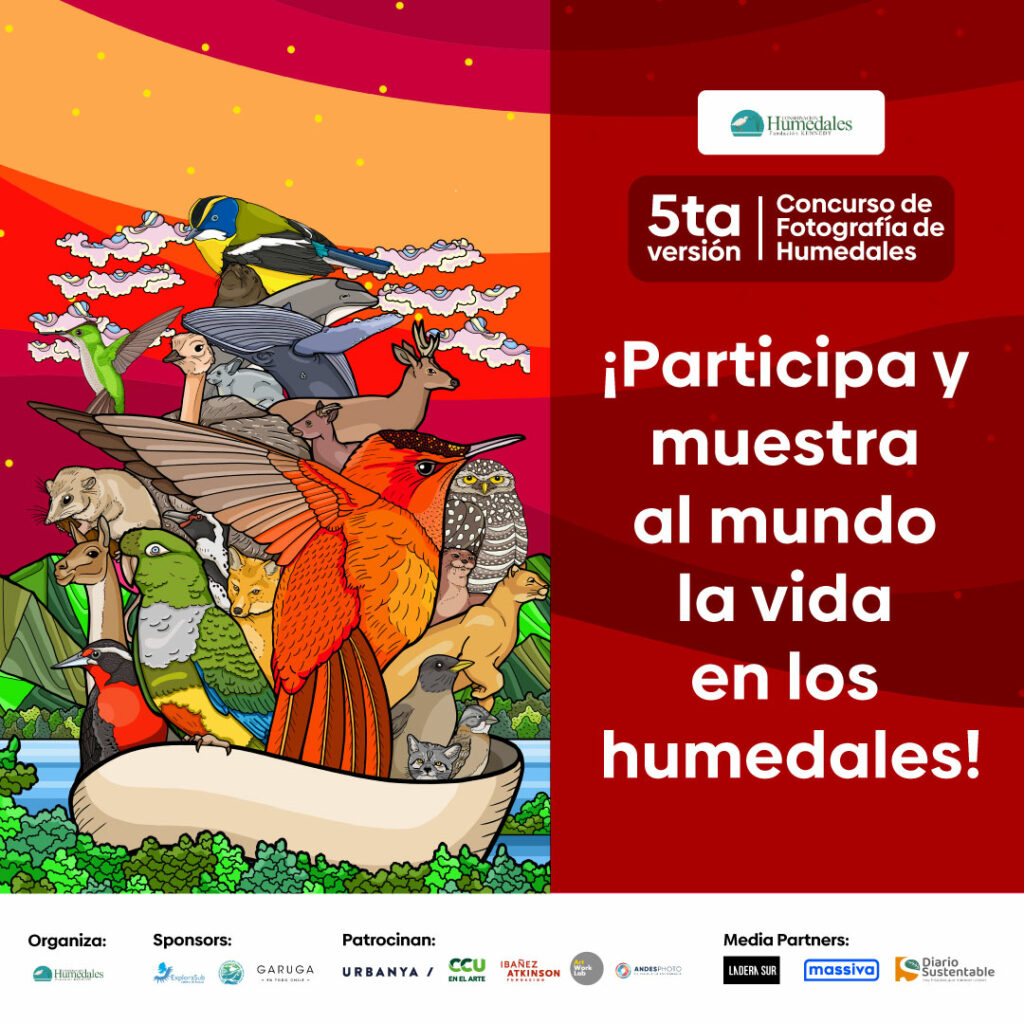 Concurso fotográfico "Descubriendo los humedales de Chile" de Fundación Kennedy.