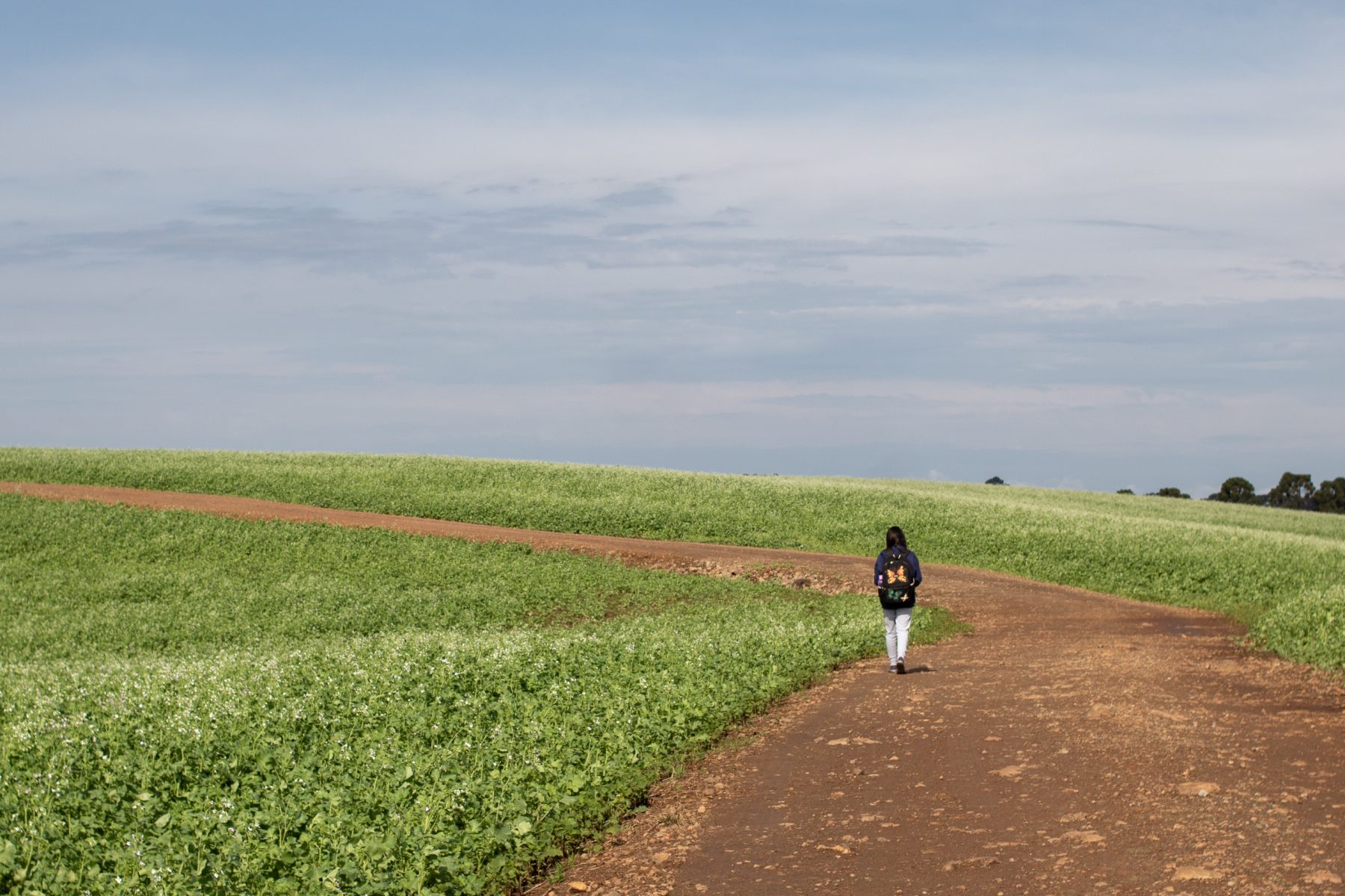 Los niños enfermos de la agricultura brasileña