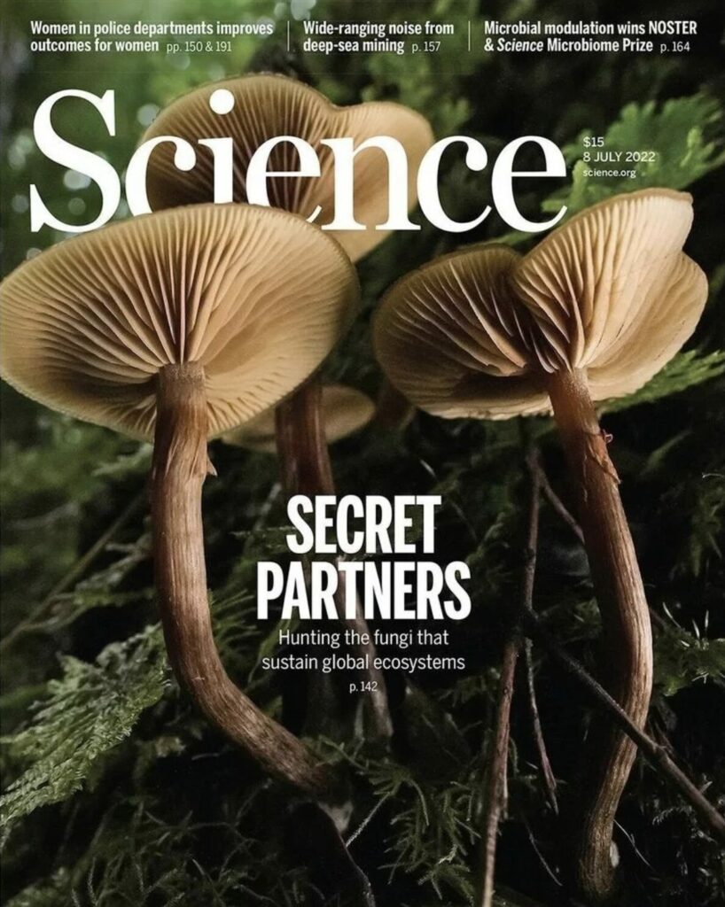 Portada Science. Créditos fotografía Mateo Barrenengoa