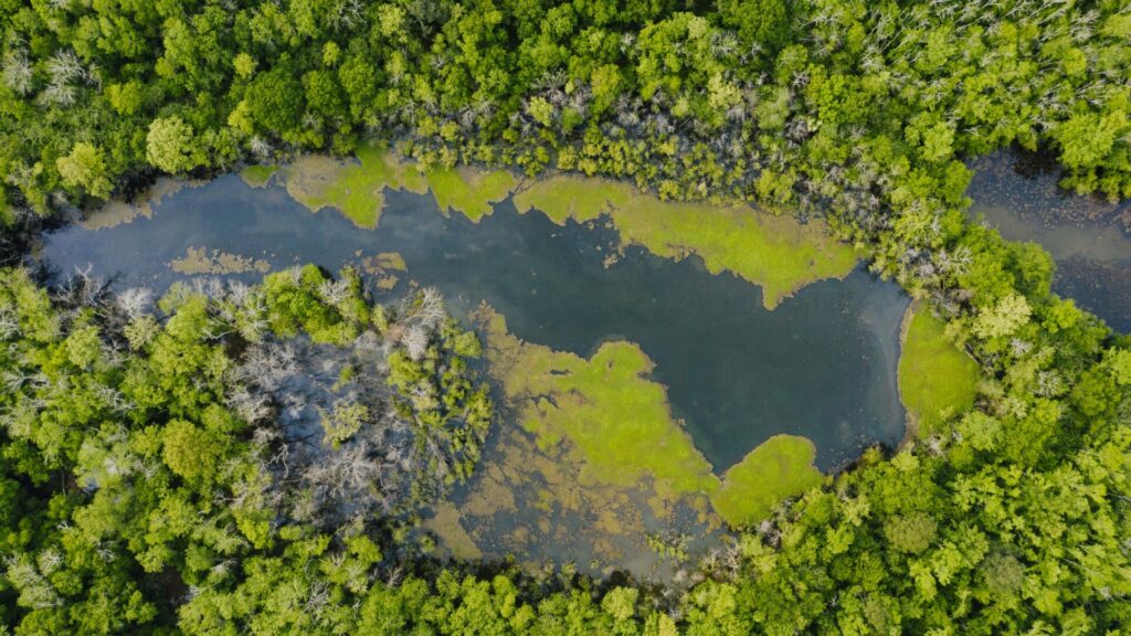 Río en medio de la selva. Créditos: Kelly.