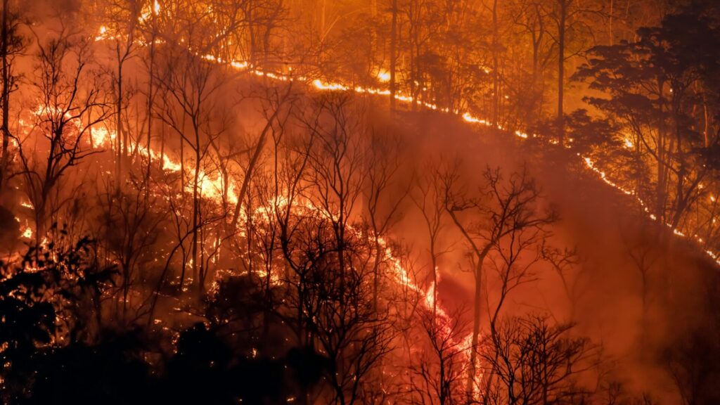 Incendio. Créditos: Toa55.