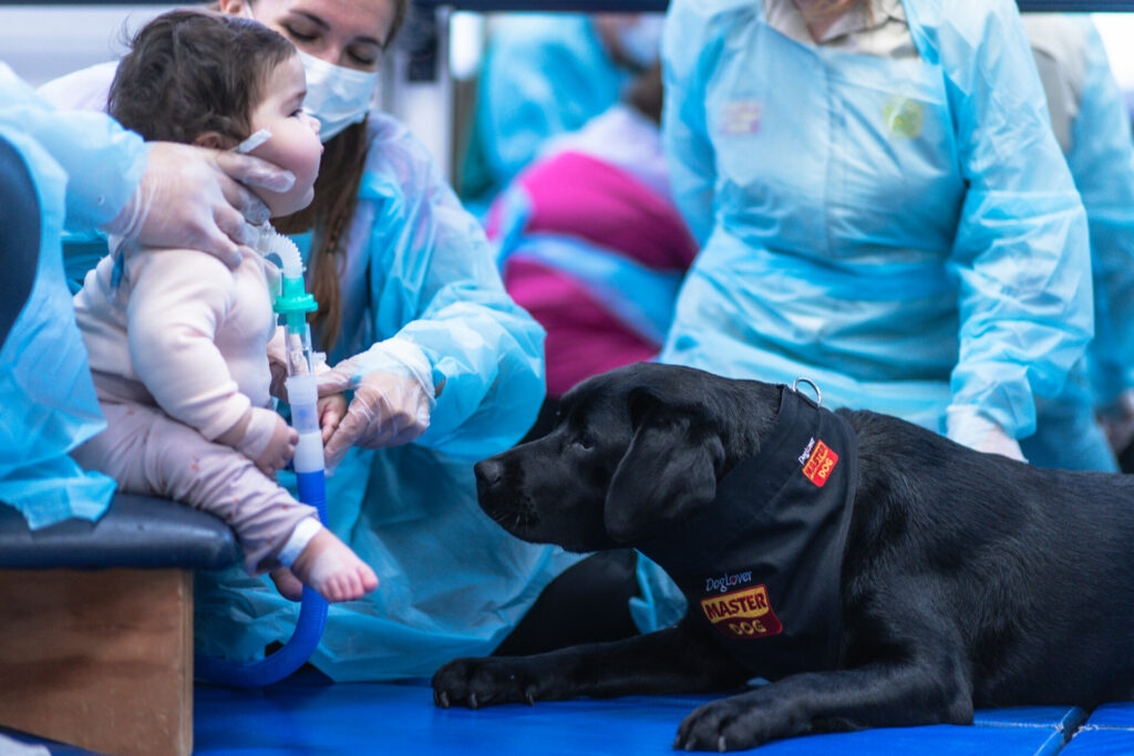 Terapia asistida con perros. Créditos: Bocalán.