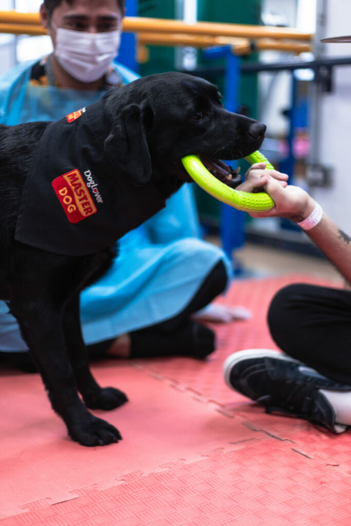 Terapia asistida con perros. Créditos: Bocalán.