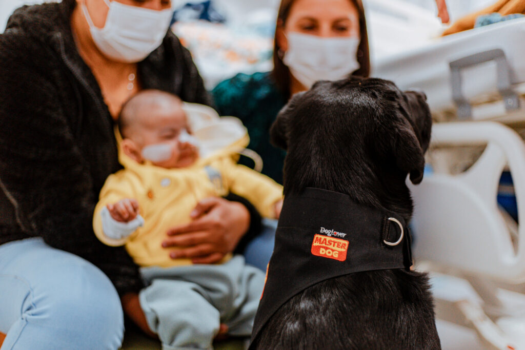 Terapia asistida con perros. Créditos: Bocalán.