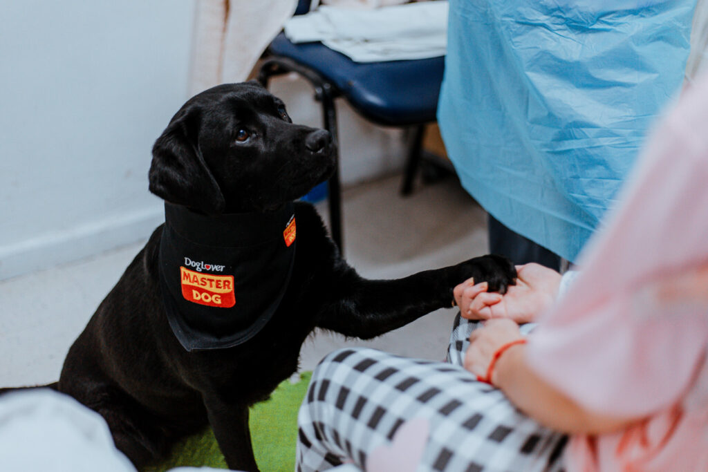 Terapia asistida con perros. Créditos: Bocalán.