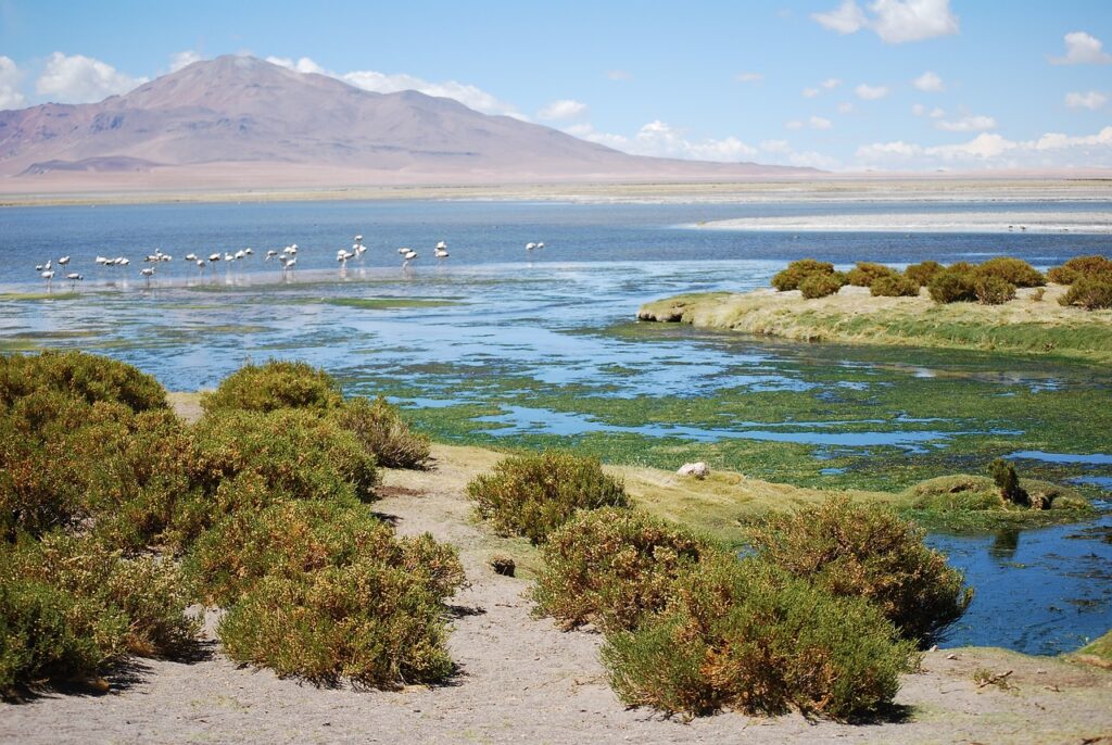 Desierto de Atacama. Créditos Pixabay