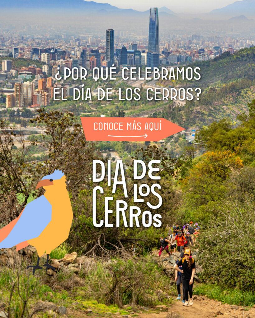 Créditos Fundación Cerros Isla