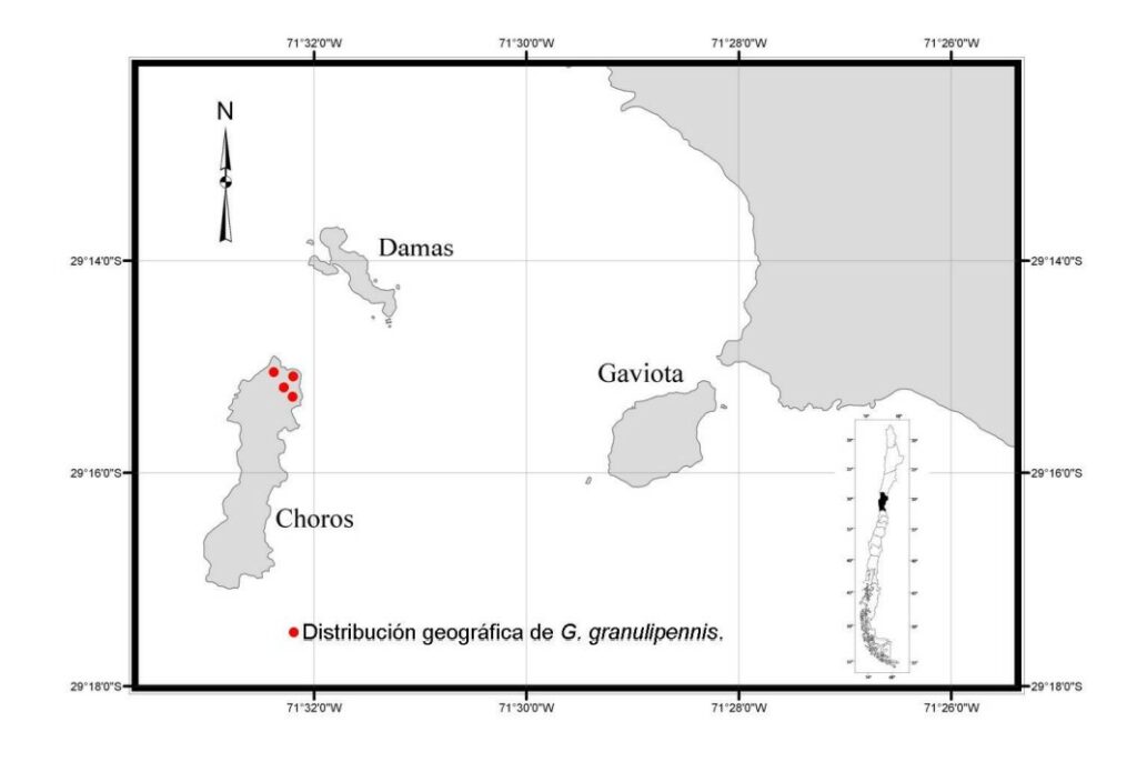 Distribución del G. granulipennis. Créditos Ministerio de Medio Ambiente