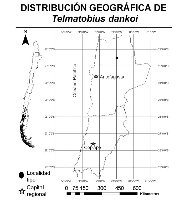 Distribución de la ranita del Loa. Créditos Ministerio del Medio Ambiente