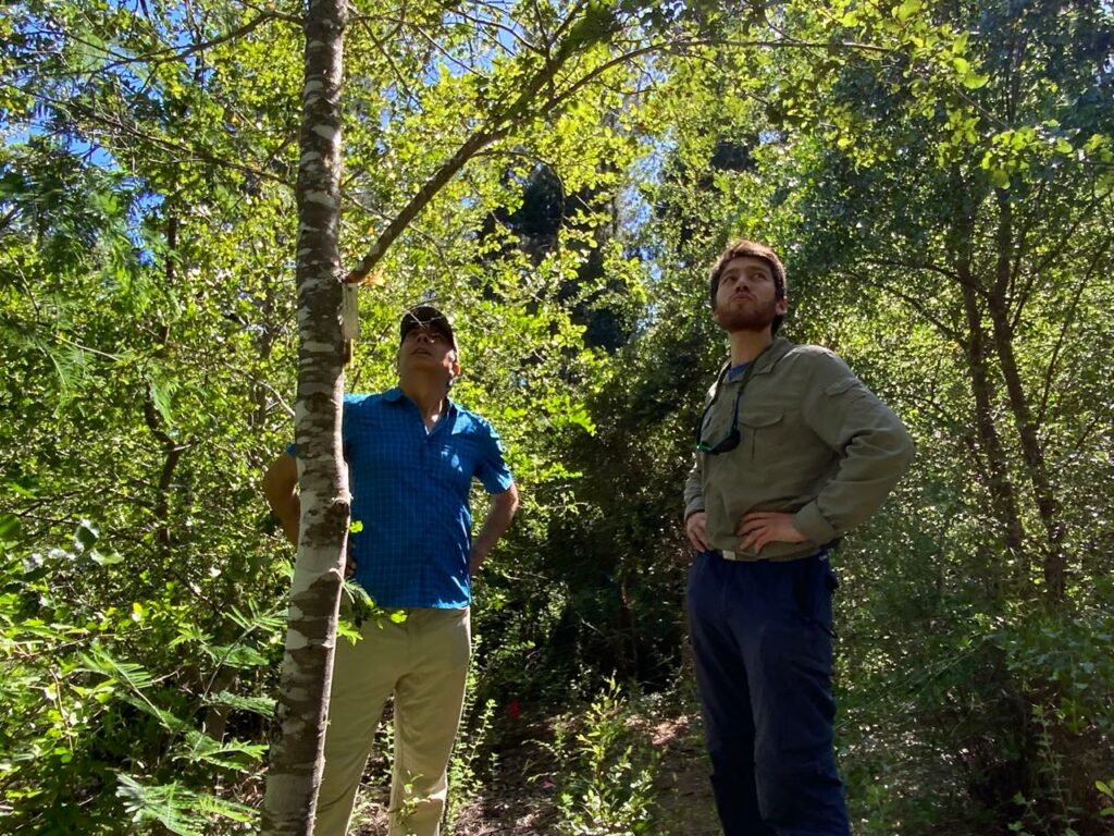 Después de la intervención en el Parque Nacional Nonguén. Créditos: Cristián Echeverría.