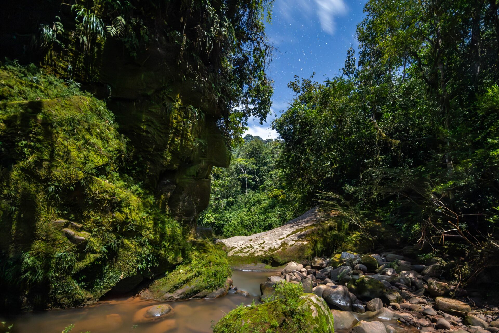 Expedición al Rostro Harakbut: documentando la lucha indígena por la conservación de la Amazonía en Madre de Dios