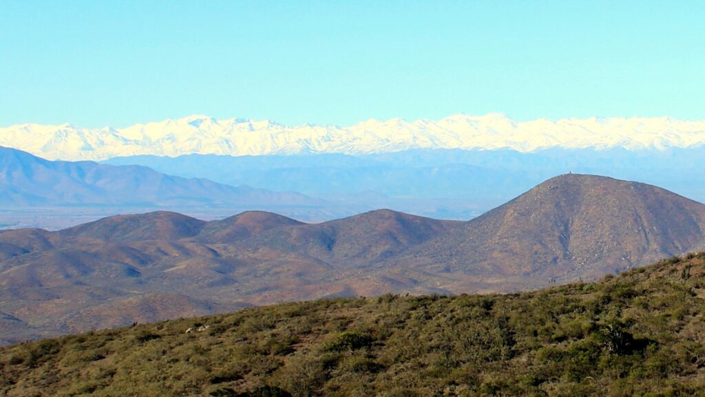 Parque Nacional Fray Jorge. Créditos: Juanmar01.