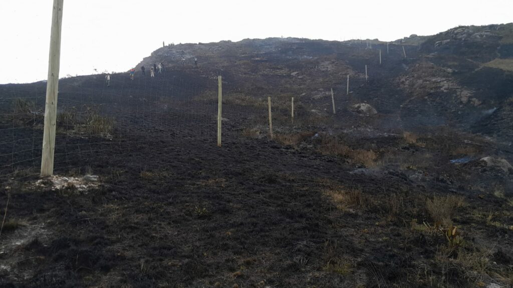 Un incendio forestal arrasó con decenas de hectáreas en Llipa y Mochadín, en zona de amortiguamiento del Parque Nacional de Cutervo. Créditos Sernanp