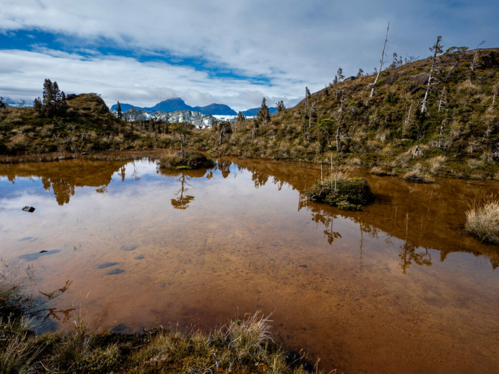 Lago Greve - Charlie Tokeley