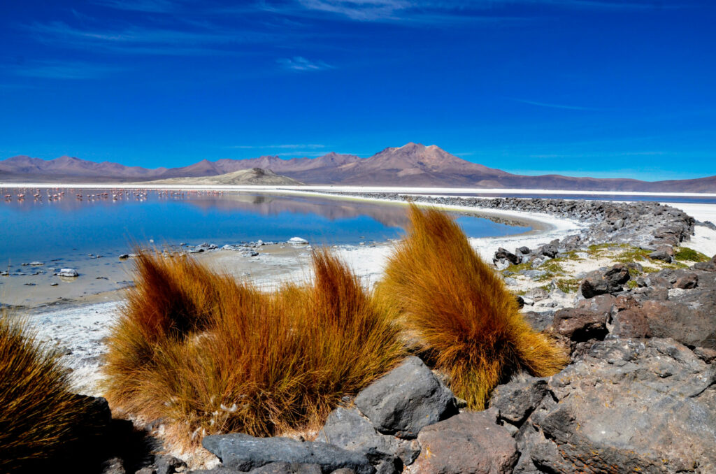 Monumento Natural Salar de Surire. Foto: Conaf